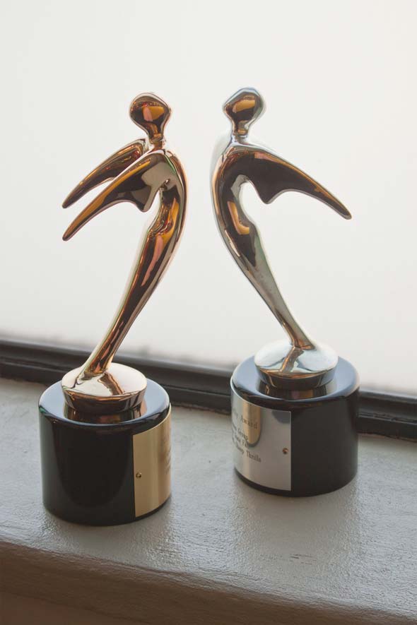 Telly Award